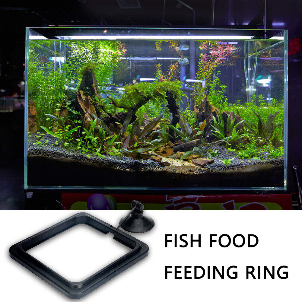 Fish Feeding Aquarium Ring Feeder Float Food Plant Buoyancy Circle (Square)