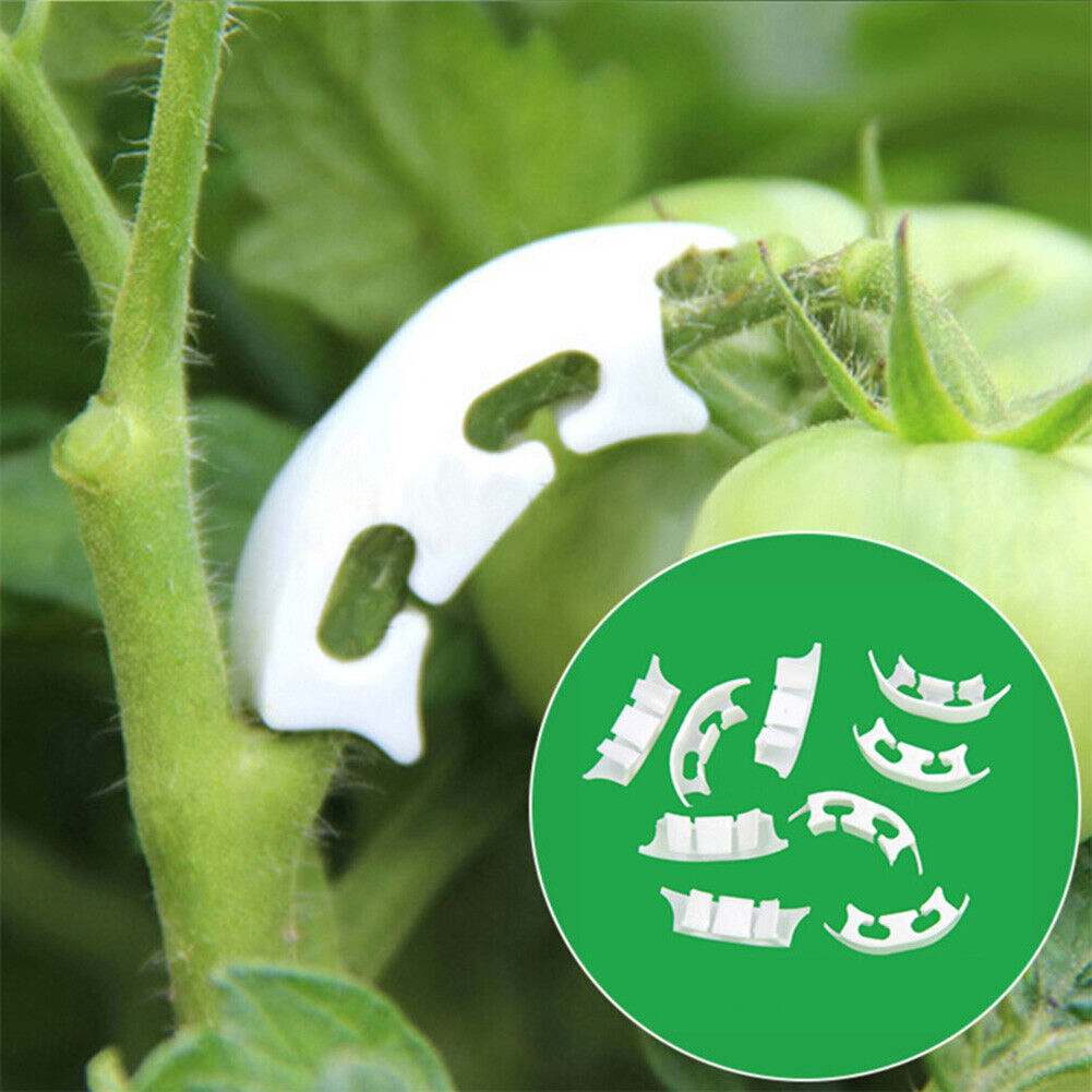 50pcs Tomato Grafting Fixing Clip Garden Fruit Seedling Reinforcement Clip