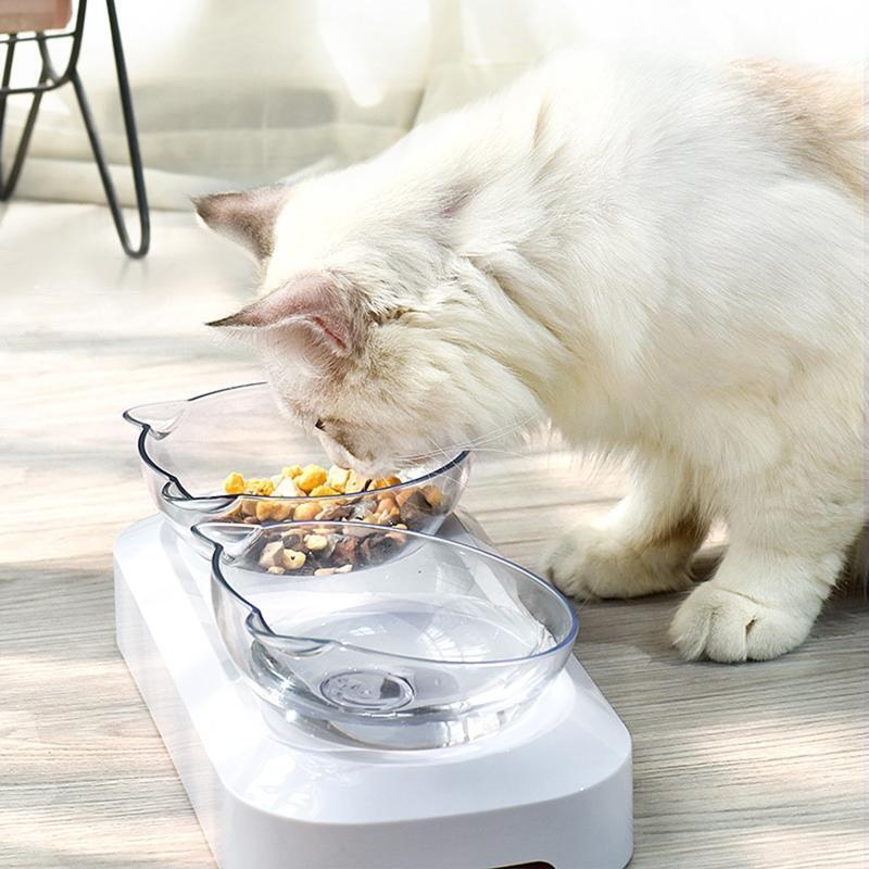 Cat Food Bowl Set for Food and Water 15° Tilted Elevated Double Dish with Stand