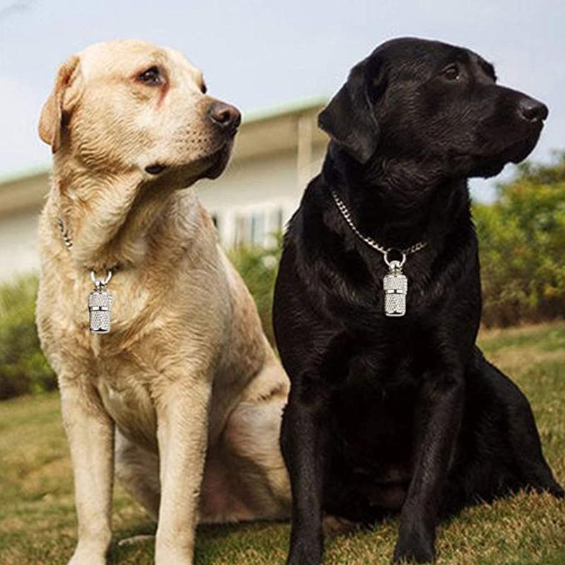 Dog Tag Key Chain Pet Tag for Dog Pet DIY Craft Supplies Capsule Collar Pendant