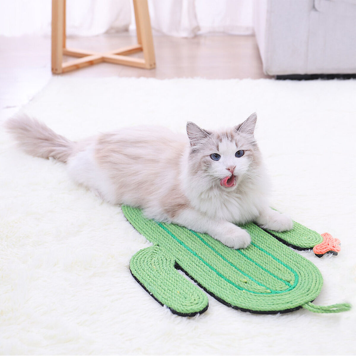 Cat Accessories Sisal Cat Scratcher Cactus Cat Sisal Pad Cat Scratcher