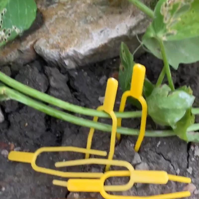 100pcs Stolon Plant Clips Garden Supplies Stolons Fixing Fastening Fixture Clamp