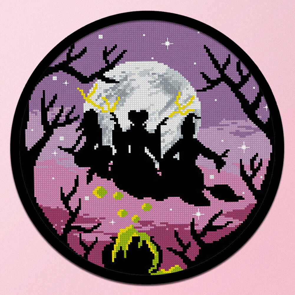 Partial Cross Stitch Witch Moon DIY Embroidery Cotton Thread Home Pictures