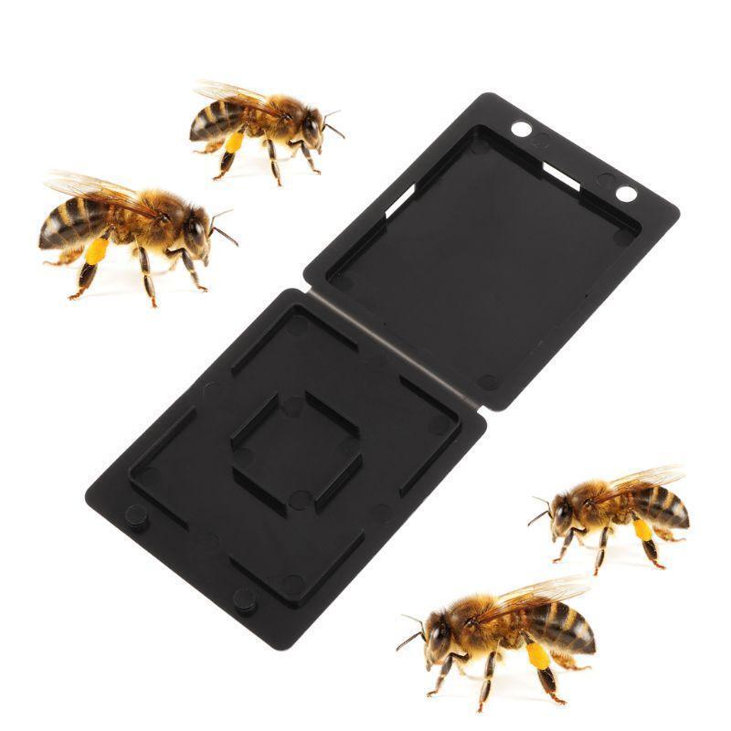 5Pcs Beehive Bee Trap Beetle Collector Insect Container Beekeeping Storage Nest