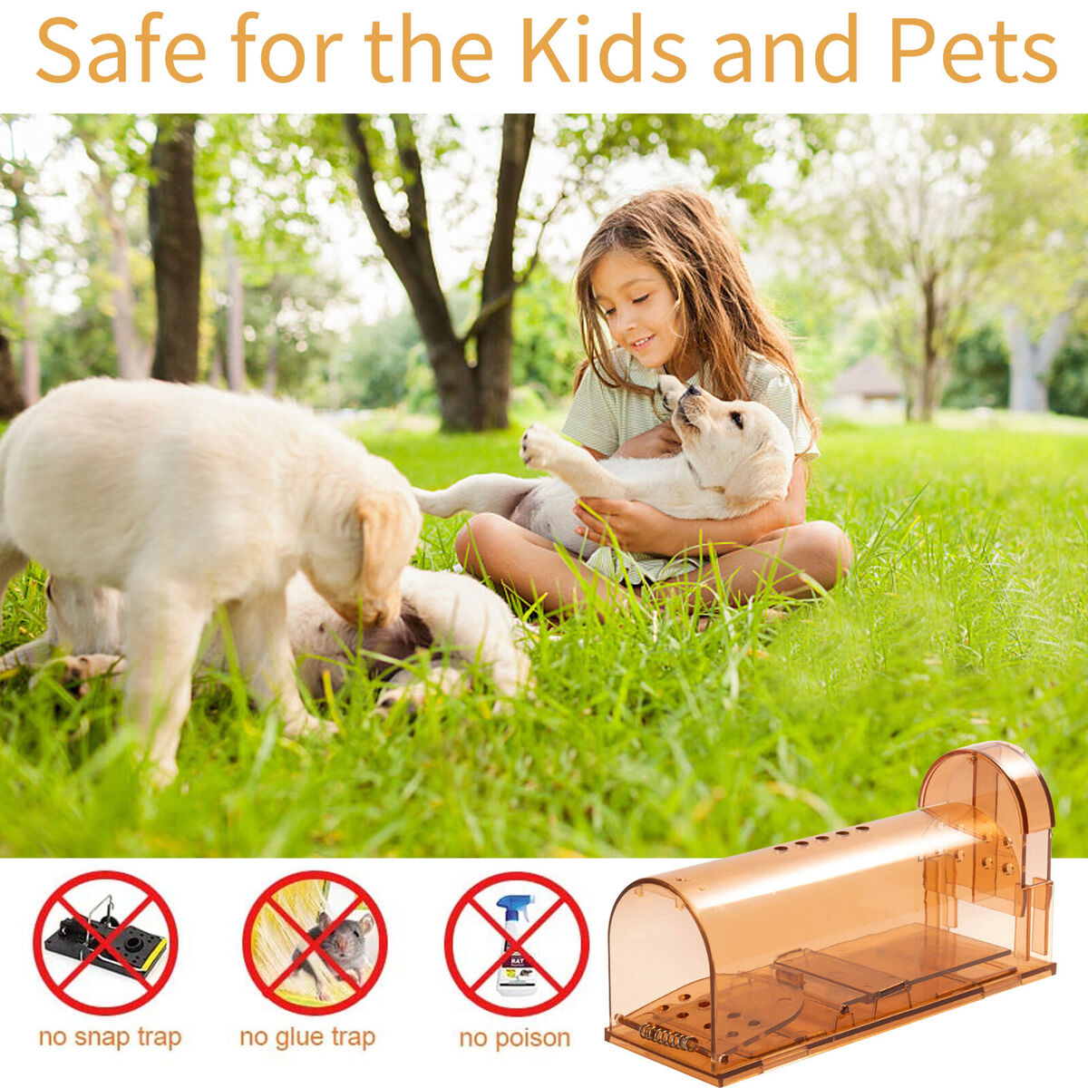 Humane Mouse Trap Rodent Rat Control 7 inch Hurtless Mousetrap (Pack of 2)