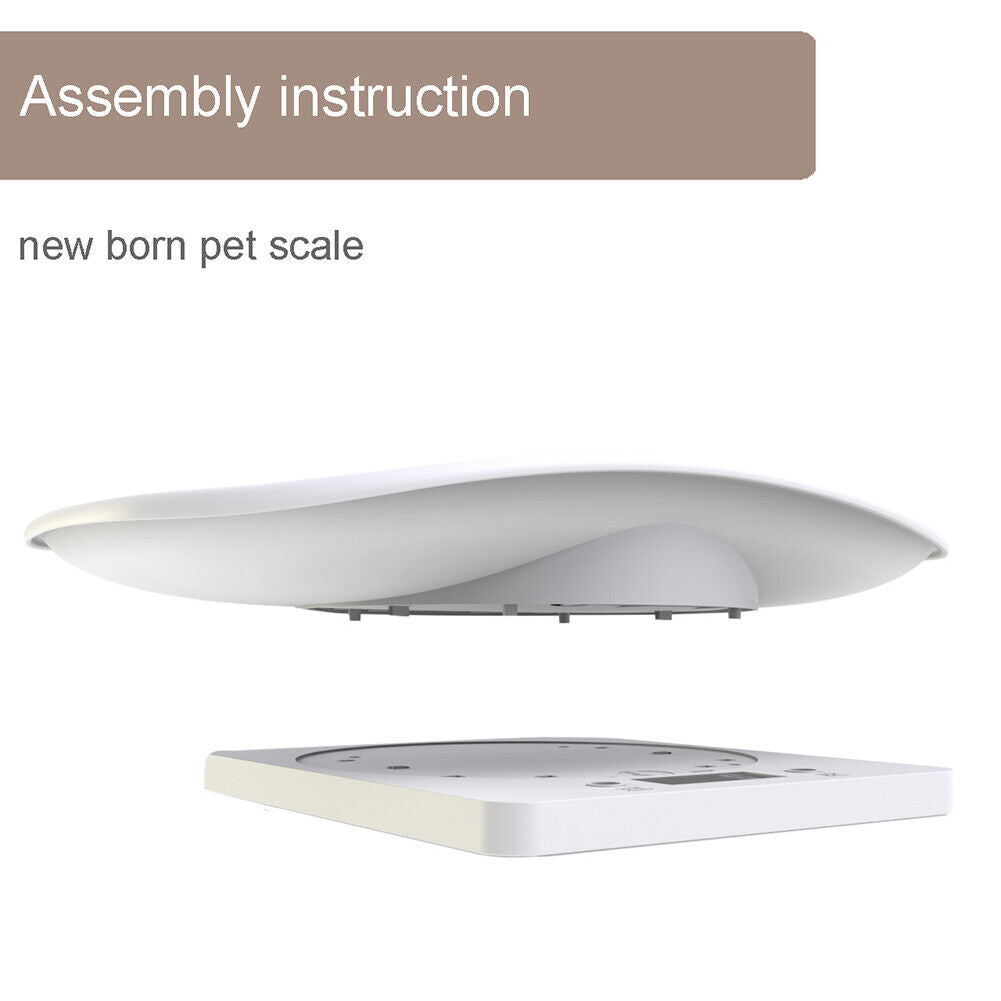 Mini Digital Scale Electronic LCD High Precision Gram Pet Weighing Scale