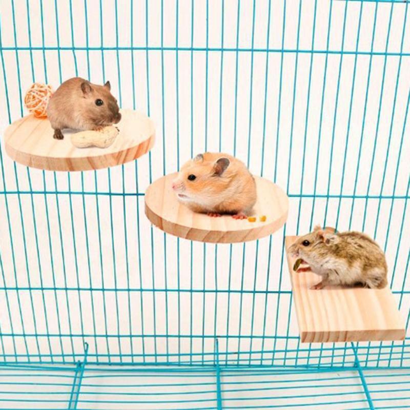4 Pieces Wood Platform for Small Pet Animals Parrot Parakeet Conure Cockatiel