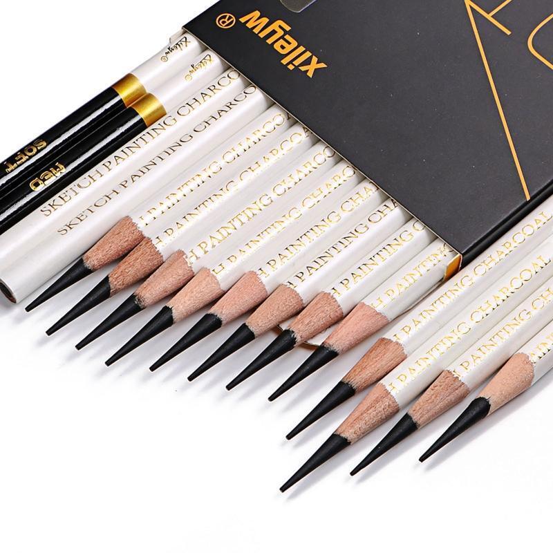 12 Pieces Professional Sketch Pencils Charcoal Pencil for Beginner  Art Painting