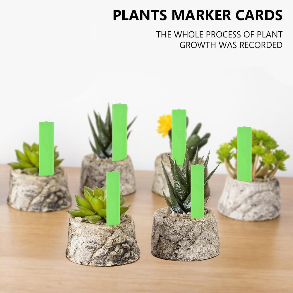 20pcs Plastic Plant Label Garden Nursery Markers Flower Pot Seedling Labels