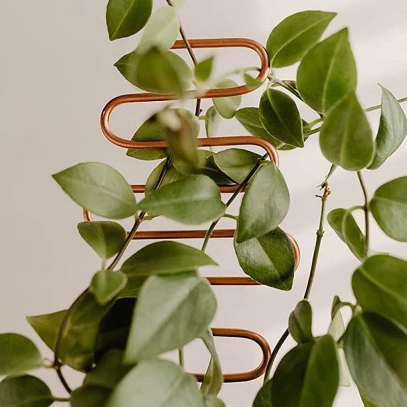 Metal Holder for Garden Backyard Patio Flowers Rustproof Potted Plant Trellis