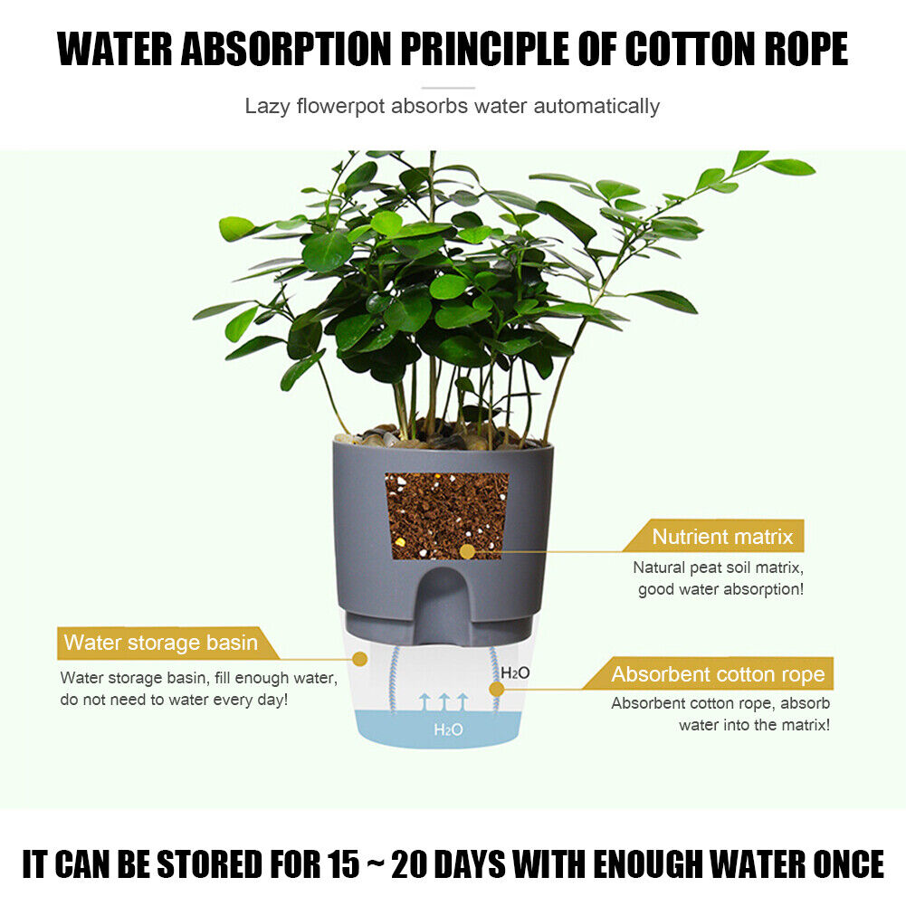 Watering Planter Self Watering Flower Pot Water Storage Basin (8.2cm)