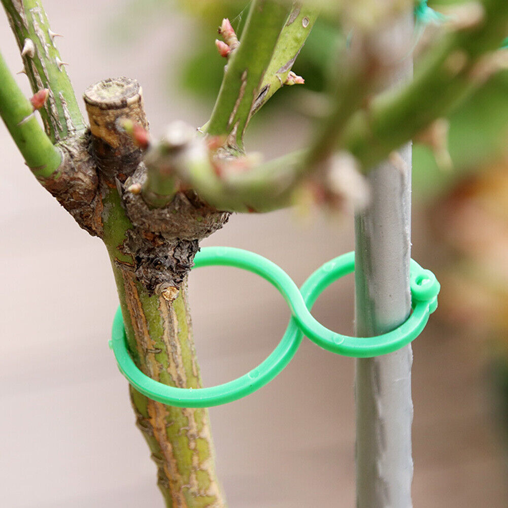 Garden Plant Vine Support Binding Clip Gardening Greenhouse Clip (S 50pcs)