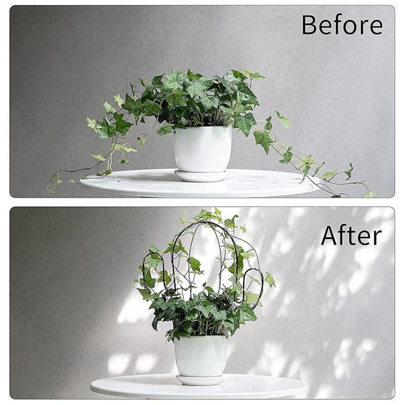Cactus Shape Garden Metal Climbing Support Stake Stand Frame for Flowers Plants