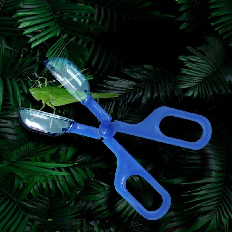 Reptile Feeding Tongs Insect Catch Clamp Poop Cleaning Tool for Tortoise Spider