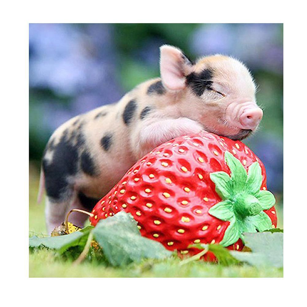 Diamond Painting Baby Pig Sleep on Strawberry Cross Stitch Embroidery Decor