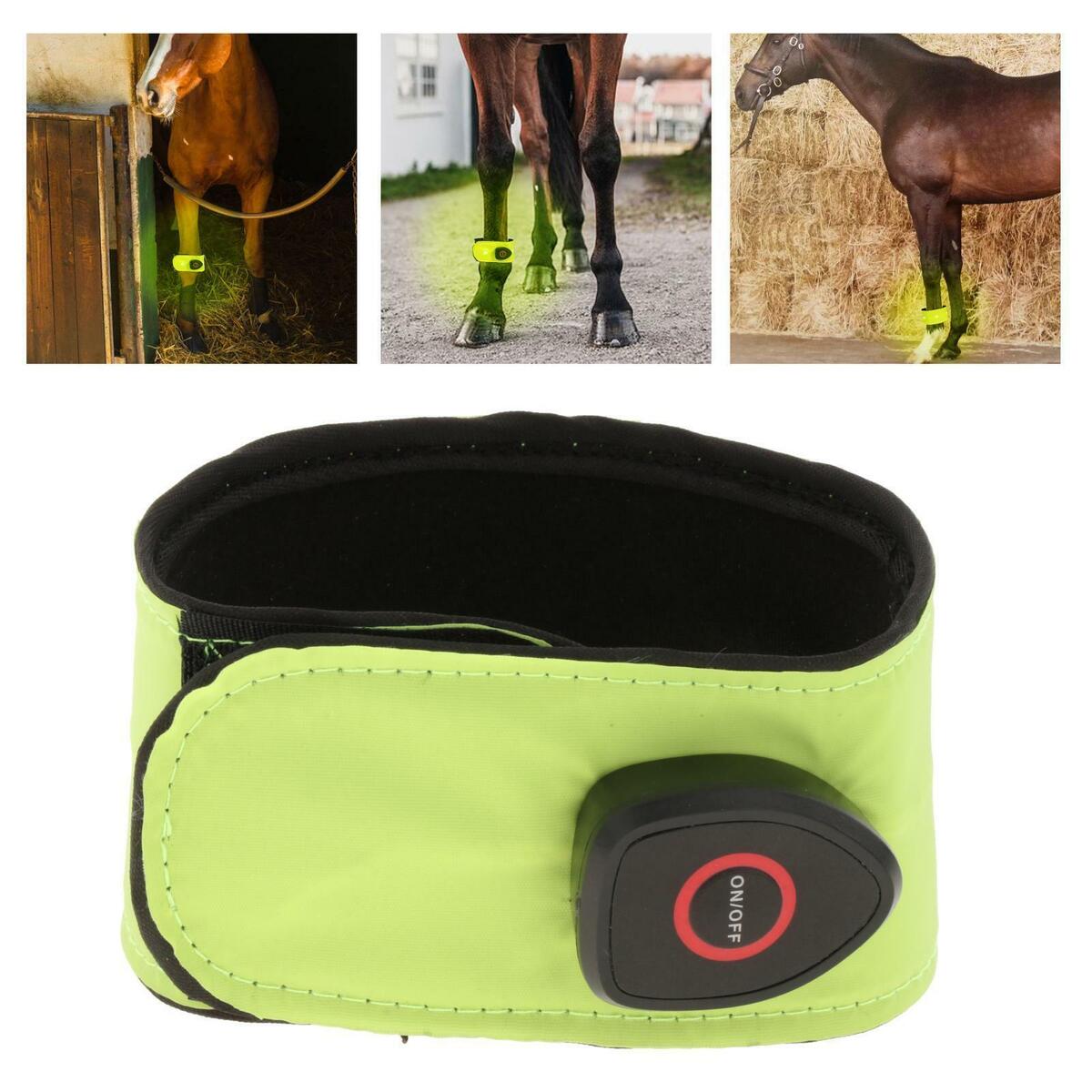 Neoprene Reflective Horse LED Ankle Strap Belt Safety for Riding Night