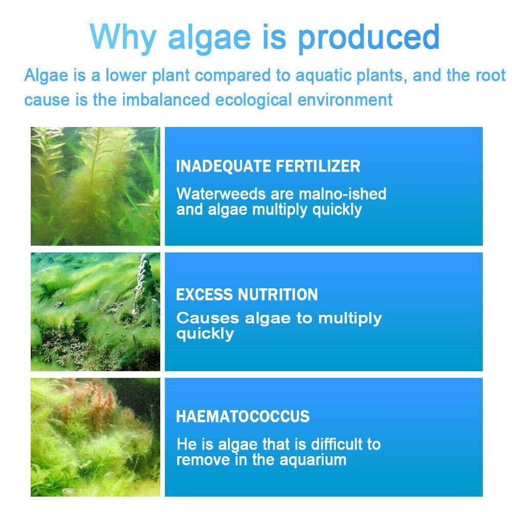 Algae Repellent Aquarium Algaecide Fish Tank Cleaning Powder Tank Moss Remover