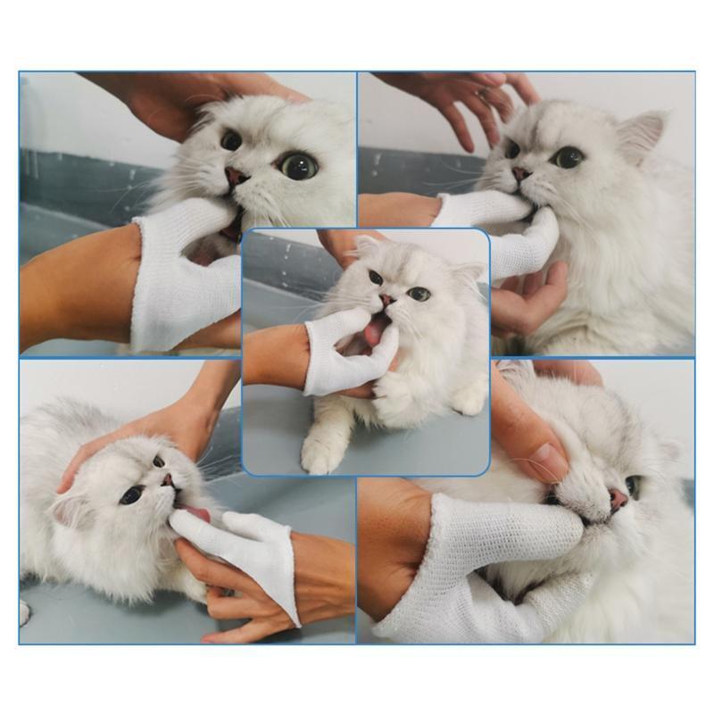 Dog Toothbrush Easy Teeth Cleaning for Pet Dental Care Two-Fingers Design