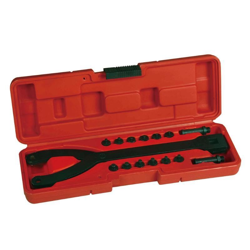 15Pcs Adjustable Pin Spanner Wrench with Variable Spanner Wrench Pins Wrench Set