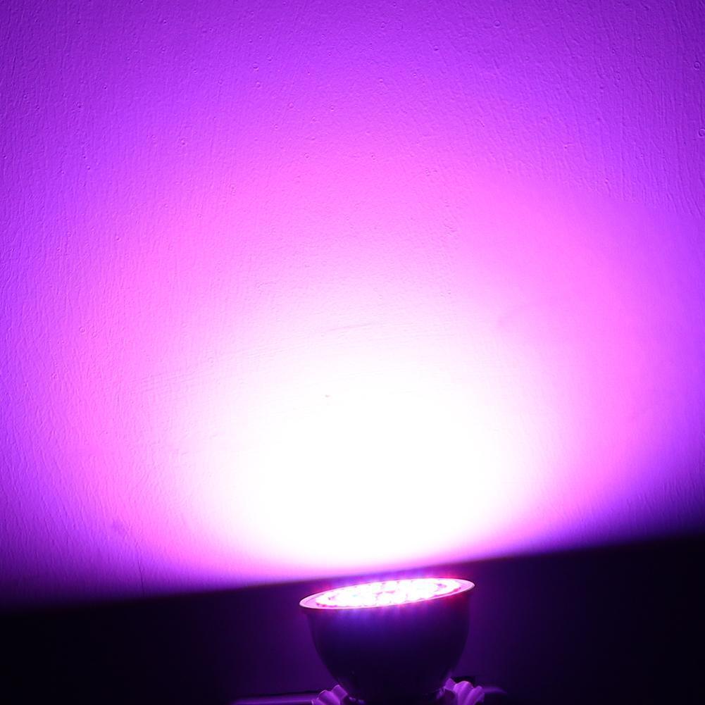 220V E27 2835 SMD Red+Blue LED Grow Light Bulb Indoor Plant Growth Lamp(C)