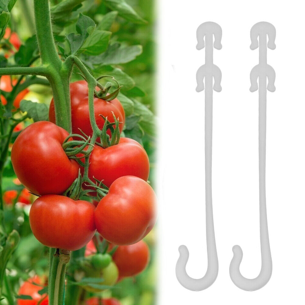 50pcs Plant Grape Vines Support Clips Trellis Fruit Cherry Tomato Ear Hook