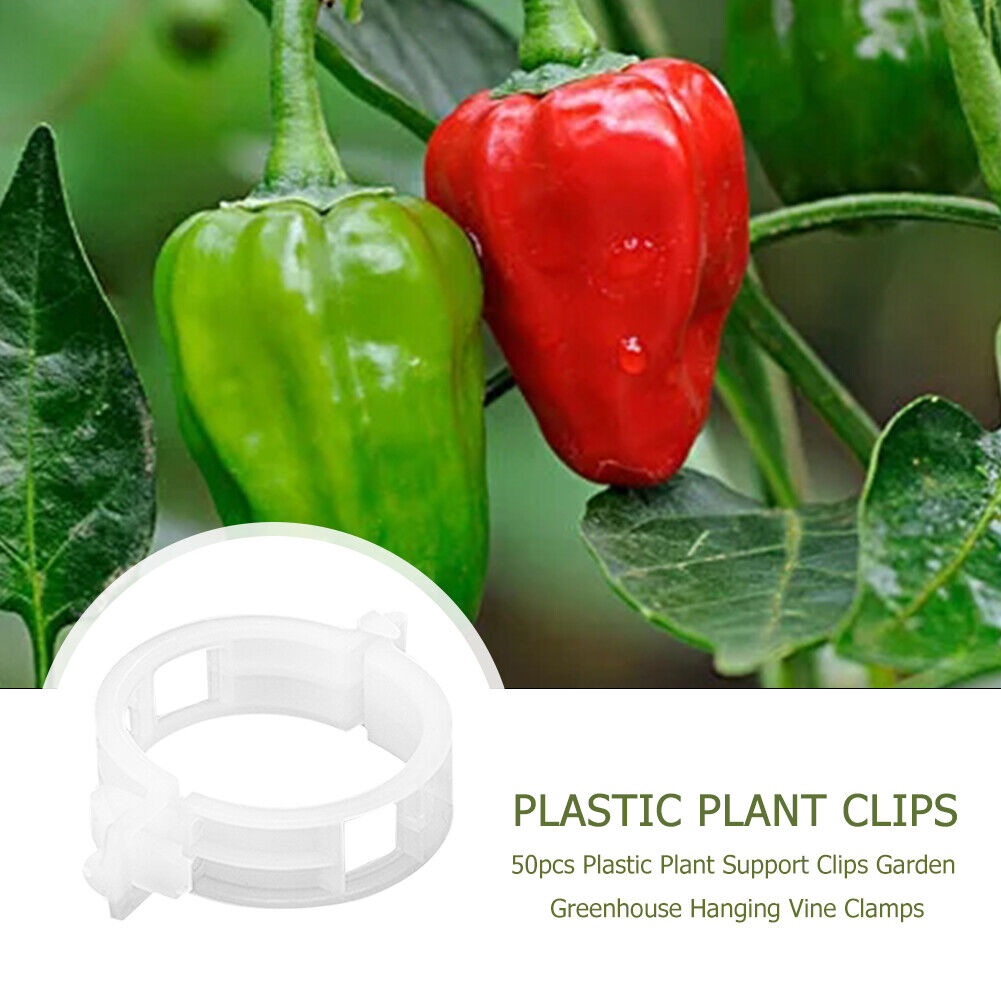 50x/bag Plastic Plant Support Clips Hanging Vine Connects Plants Protection
