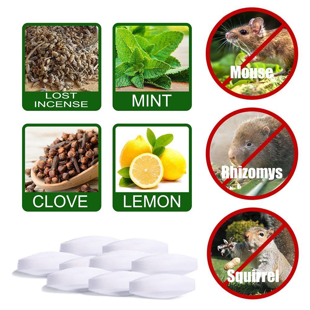 Safe Protection Mice Repeller Keep Mice Out Peppermint Oil Mouse Repeller