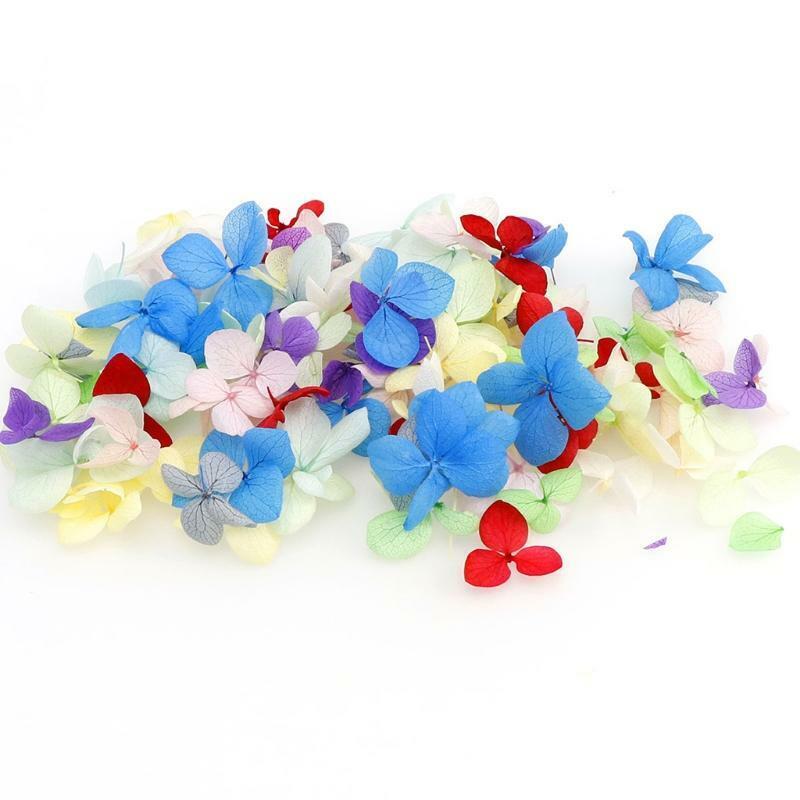 Natural Real Dried Flower Leaves Presses Flowers Herbs Kit Art Floral Decors