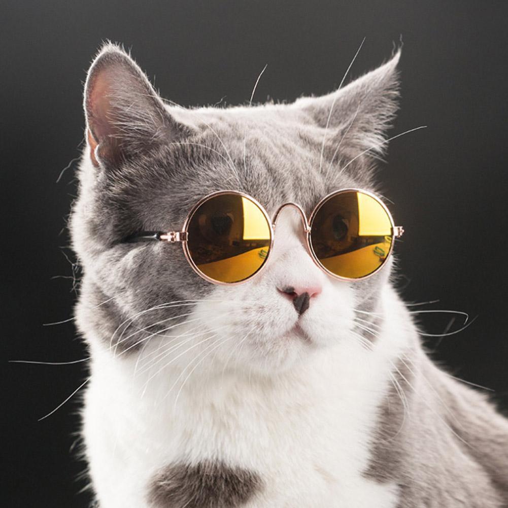 Fashion Pet Glasses for Small Dogs Puppy Cat Sunglasses Photos Props Decor
