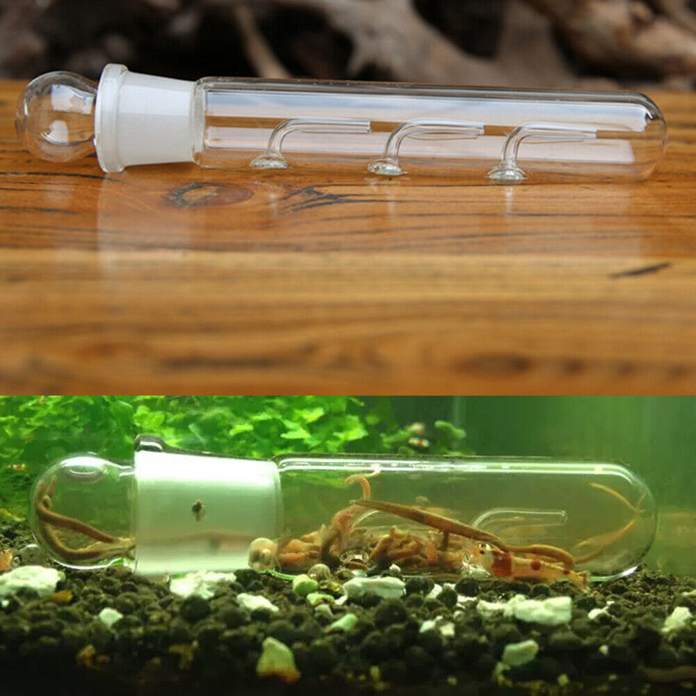 Transparent Aquarium Aquatic Cleaner Crystal Glass Planarian Trapping Pen
