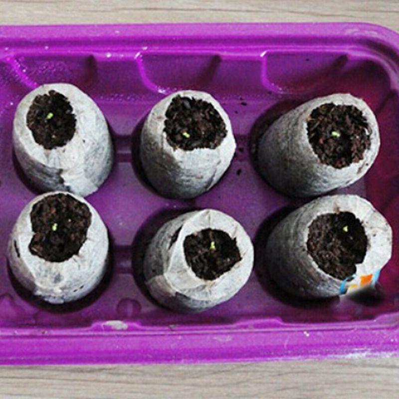 100pcs 30mm Peat Pellets Seeds Starting  Peat Pellet Helps to Avoid Root Shock