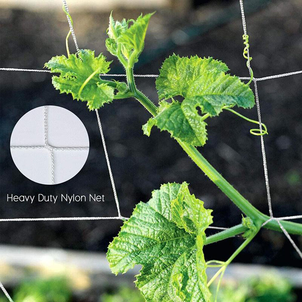 Garden Plant Climbing Net Polyester Grape Vine Grow Support Trellis Netting
