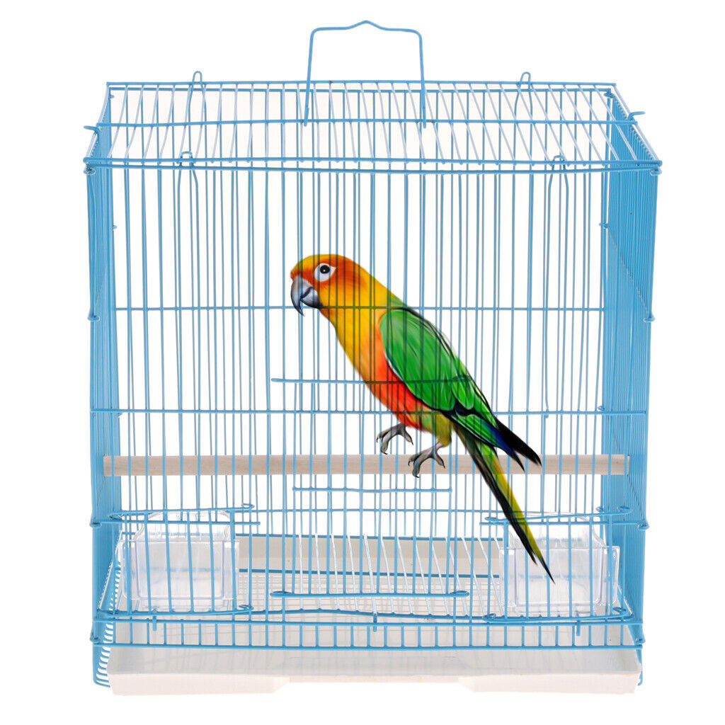 Pet  With Stand Stick  Animals Parrot Finch Budgie Cockatiel