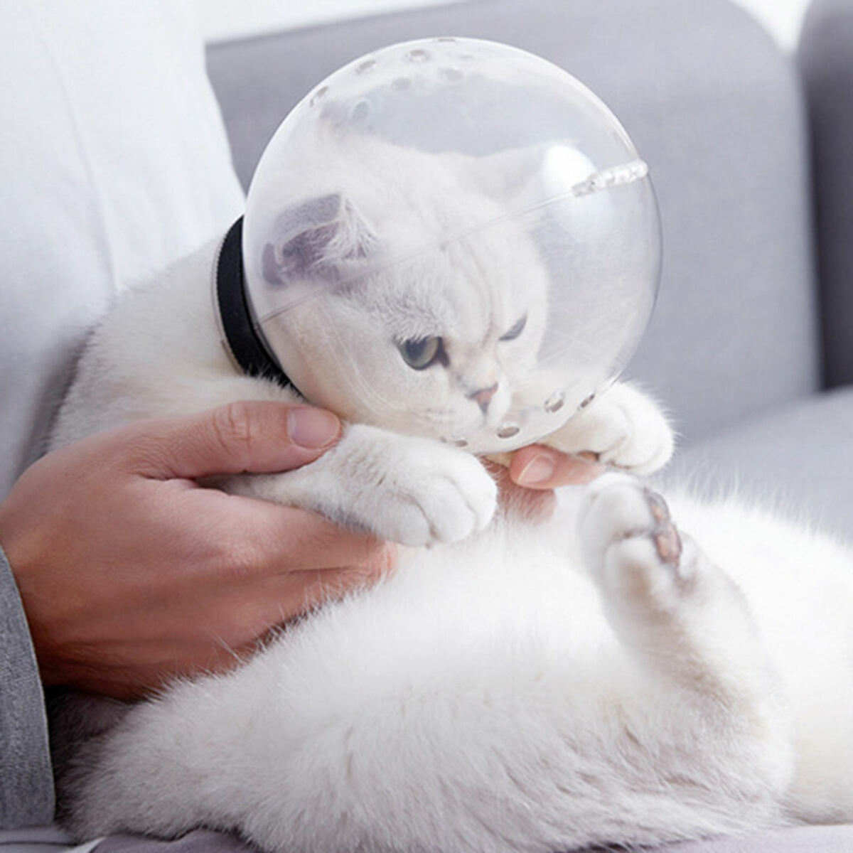 Breathable Cat Muzzle  Grooming  Anti-Licking Protective Space Hood
