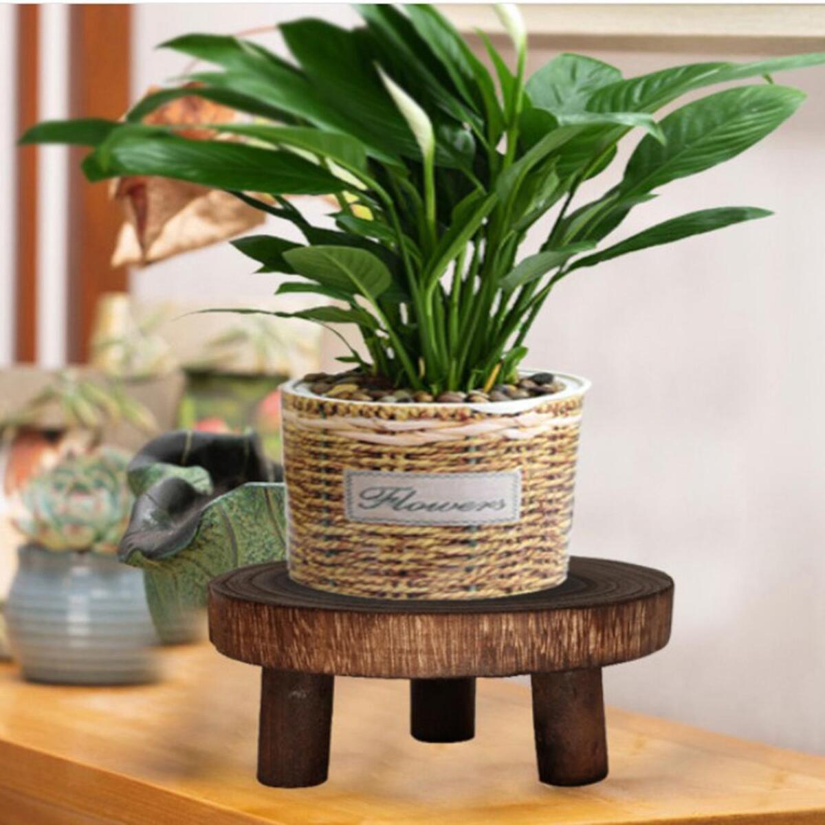 2x Solid Wood Flowerpot Stand Decoration for Balcony Lawn Patio