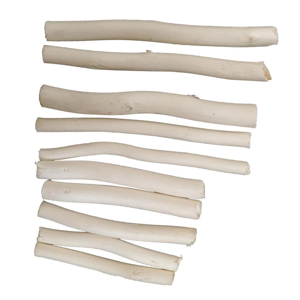 20 Pcs Natural Tree Branch Wood Sticks DIY Craft Vase Filler Photo Props
