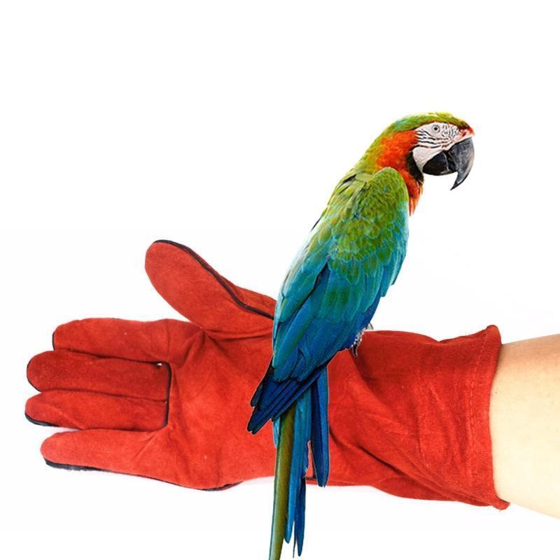Bird Training Anti-bite Gloves Parrot Chewing Working Safety Protective Gloves