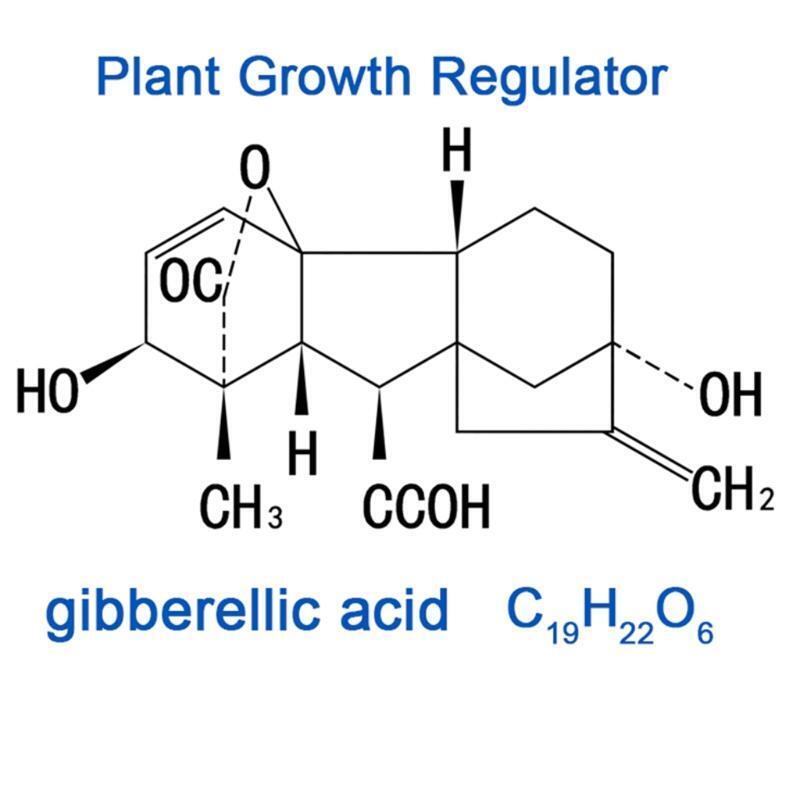 20ml Gibberellic Acid Liquid for Plant Growing 920 Plant Growth Promotion