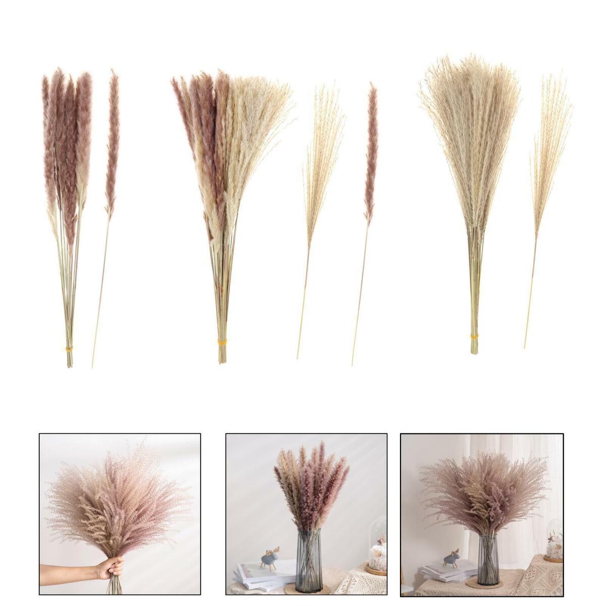 of 70 Rustic Dried  Grass Bunch  Living Room Table  Decor