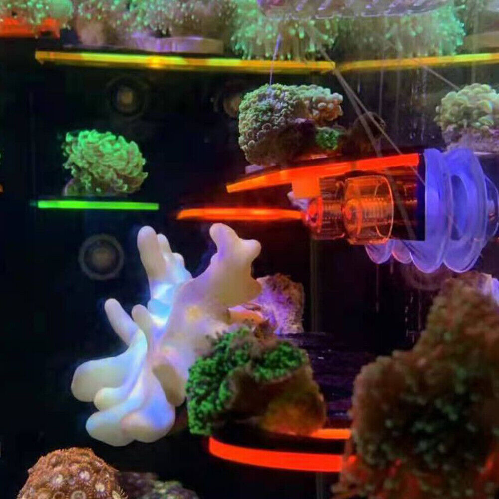 Fish Tank Fluorescence Coral Frag Rack Aquarium Reef w/Plug Holder (Yellow)