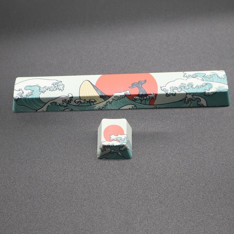 2 Keys OEM Profile Custom Keycaps PBT Dye Sub Space ESC Keys Keycap Spacebar Cap
