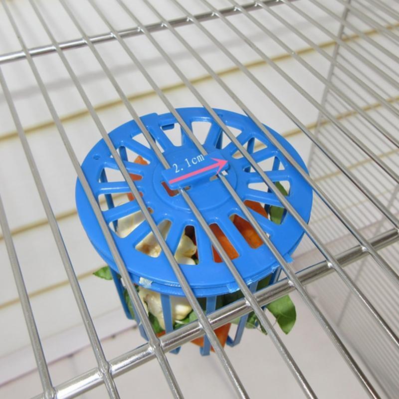 Parrot Treat Holder Fruit and Vegetable Feeding Tool Easy to Install on Cage