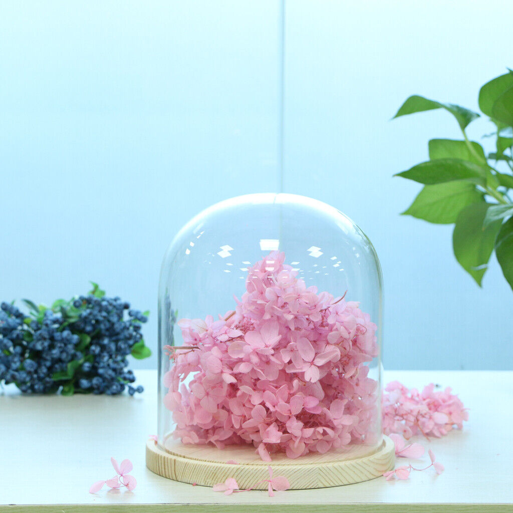 Wooden  Dome with Wooden  Cloche   Flower  Holder C