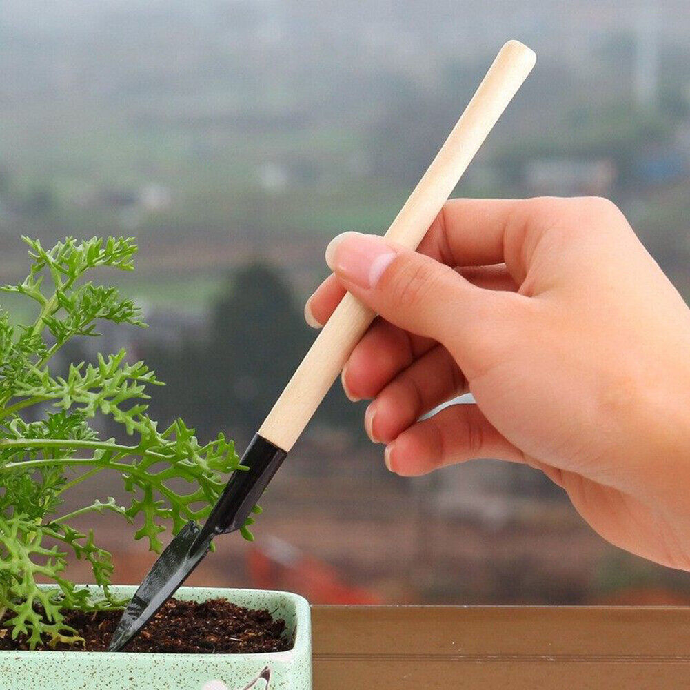 3pcs Gardening Tools Set Mini Transplant Plant Flower Shovel Rake Hand Tool