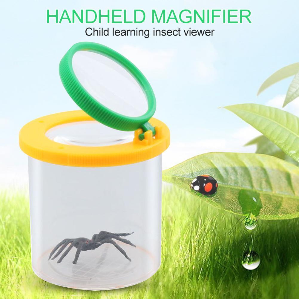 Cylindrical Crawler Spider Insect Box Magnifying Glass Magnifier (Yellow)