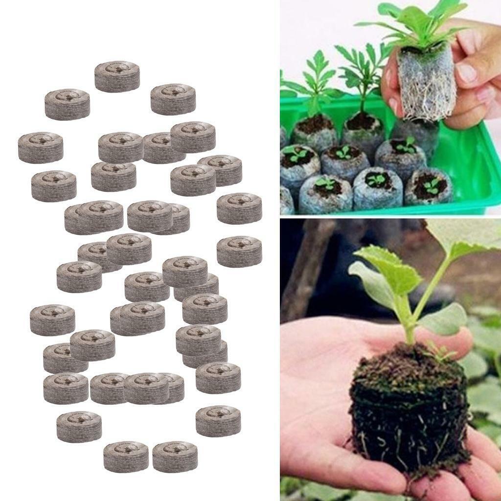 40Pcs Nursery Block Peat  Thumb Seedling  Block 31mm