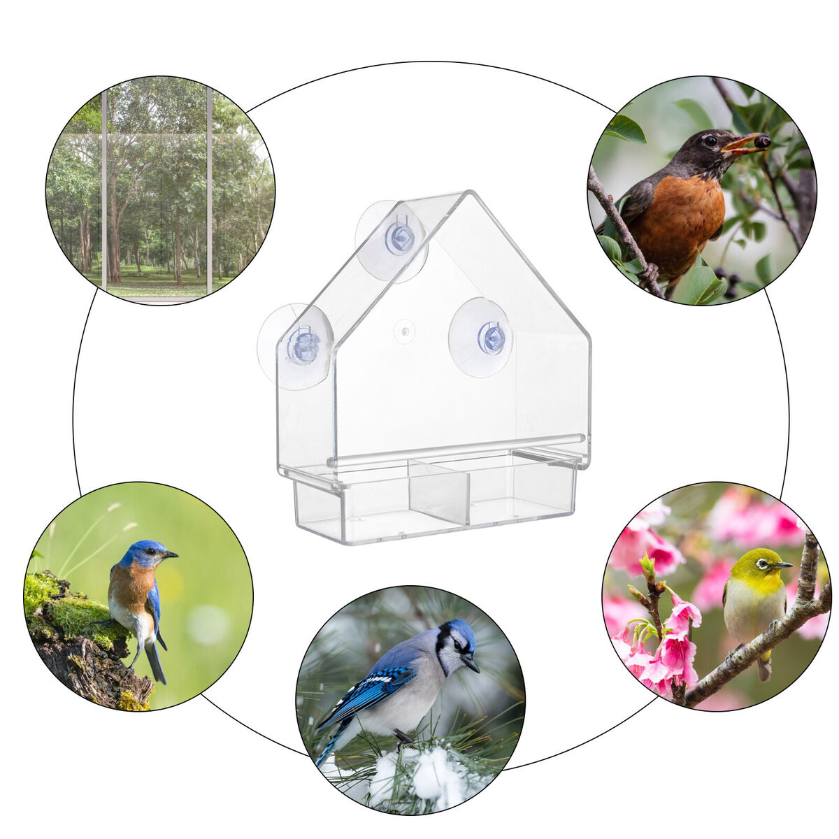 Window Bird Feeder House, Weather Proof, Transparent, Suction Cup Birdhouse