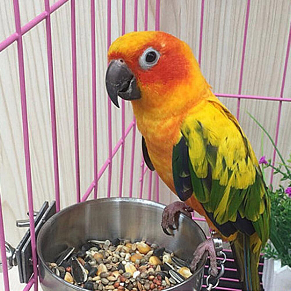 Stainless Steel Pet Bowl Hanging Stationary Drinking Water Food Feeder (L)