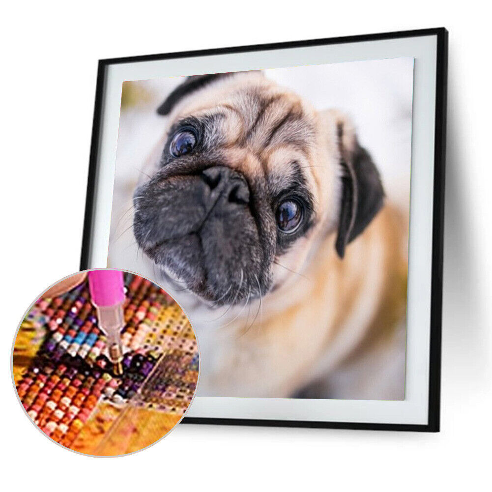 5D DIY Diamond Painting Pug Full Round Drill Mosaic Picture Kit Wall Art