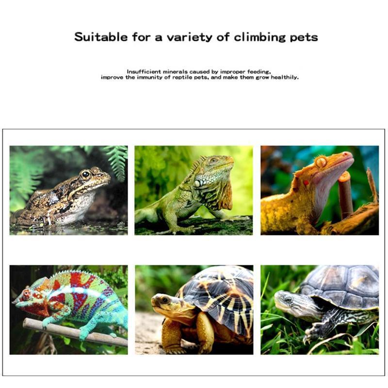 Slow Release Calcium Blocks for Aquatic Turtle Insufficient Mineral Supplements